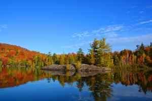 Fall Brilliance in the Adirondack Park Perfect Fall Picnic spot